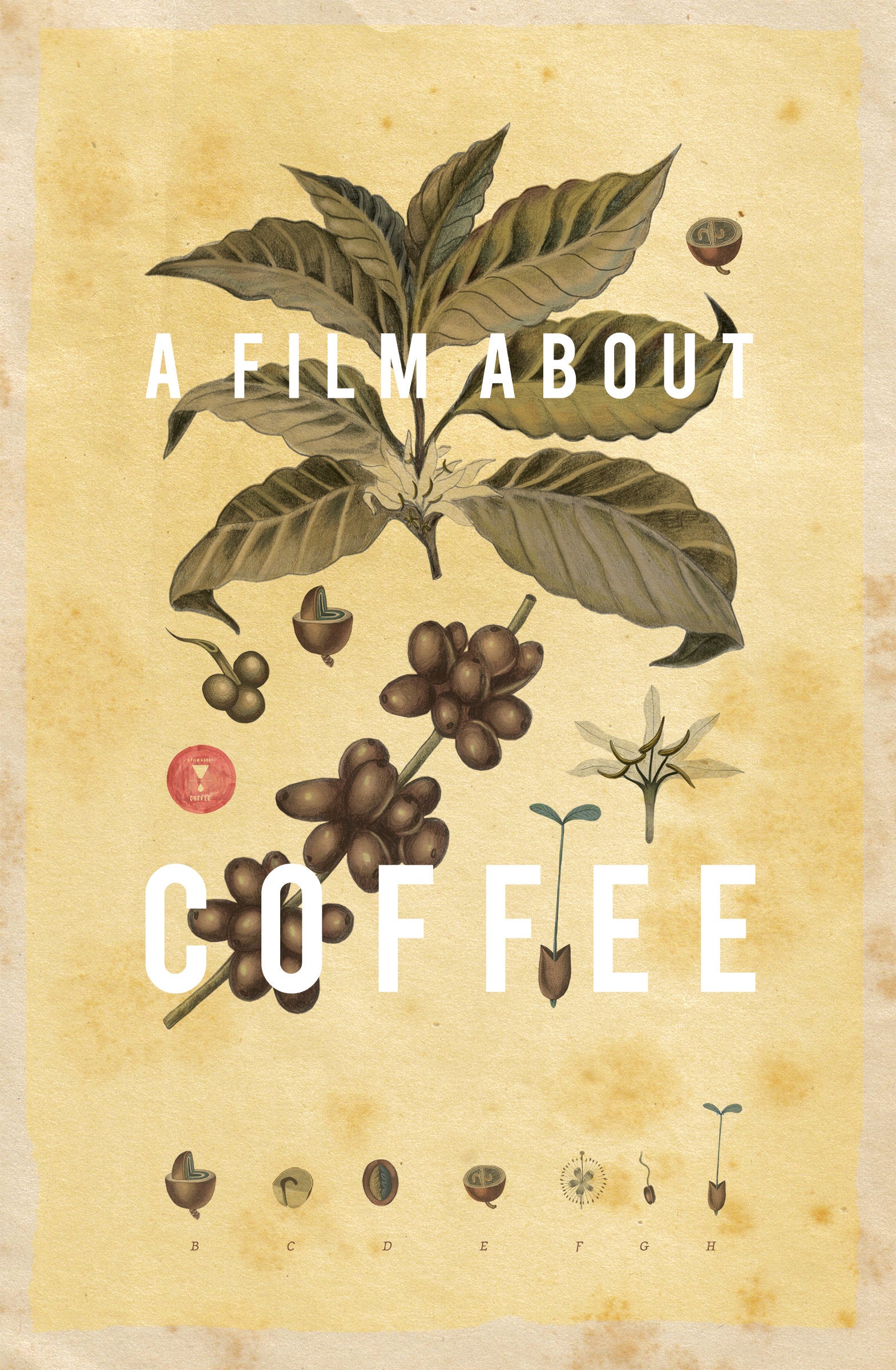 A FILM ABOUT COFFEE